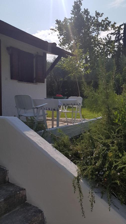Konstantinos'S Luxury Residence Sani Sani  Bagian luar foto